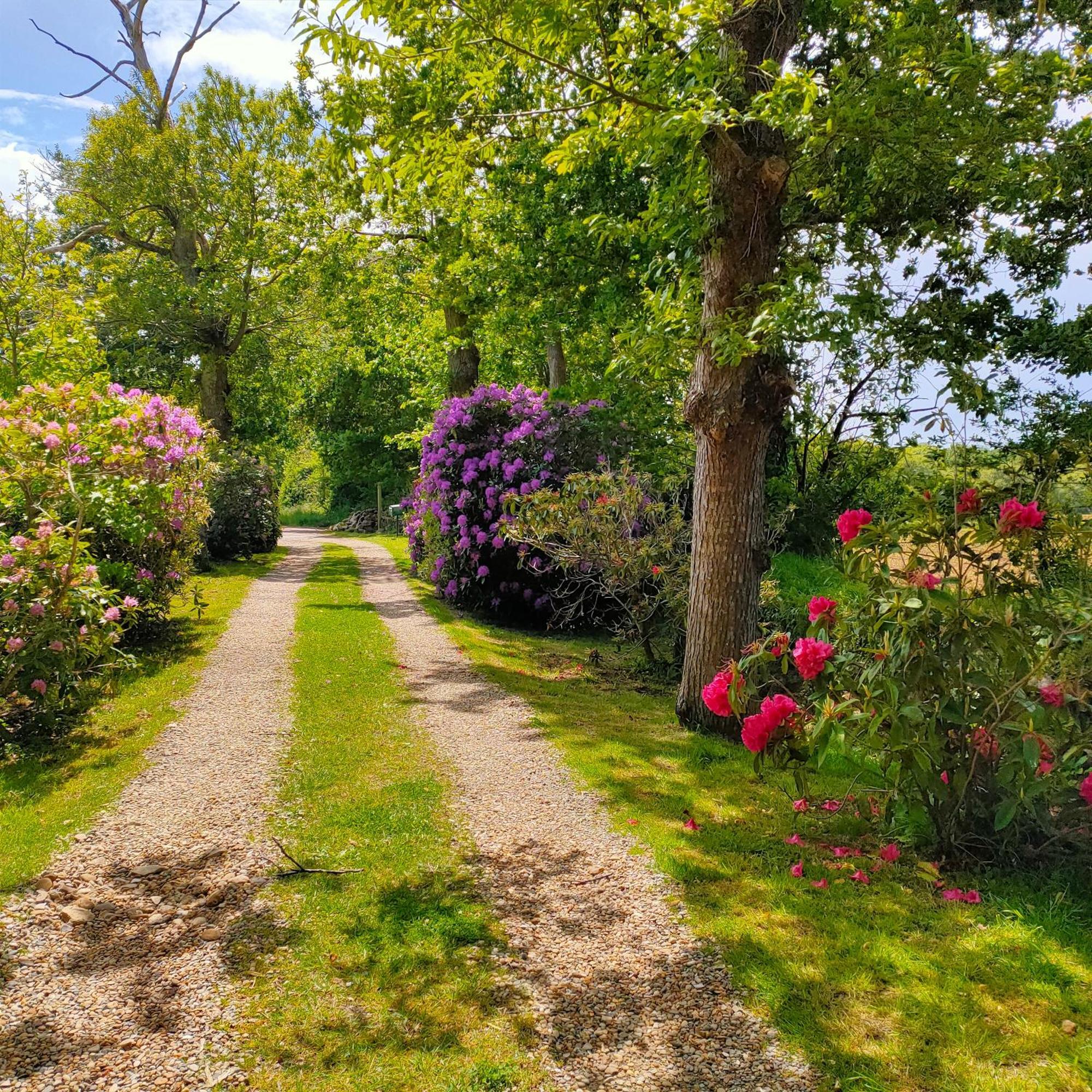 La Ferme De Kerraoul Bed & Breakfast Combrit Екстериор снимка
